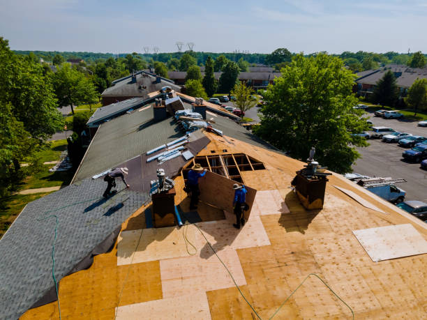 Best Storm Damage Roof Repair  in Crane, TX