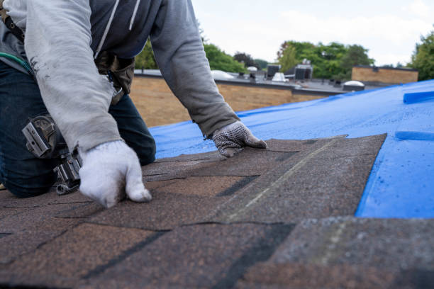 Best Roof Gutter Cleaning  in Crane, TX