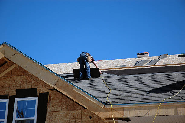Best Roof Gutter Cleaning  in Crane, TX